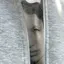 瑞輝のプロフィール画像