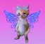 しなぷるのプロフィール画像