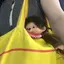 毛のプロフィール画像
