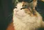mmmのプロフィール画像