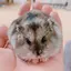 maroのプロフィール画像
