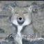 愛のプロフィール画像