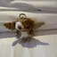 ゆきのプロフィール画像