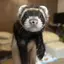 りょうたのプロフィール画像