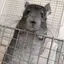 ㄹㄹㄹのプロフィール画像