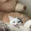 アスのプロフィール画像