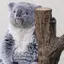のんこのプロフィール画像