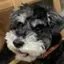 N aのプロフィール画像