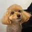 みずのプロフィール画像
