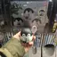 未来のプロフィール画像