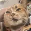 みみのプロフィール画像