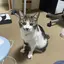 ひでのプロフィール画像