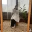 neneのプロフィール画像