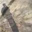 映月のプロフィール画像