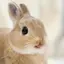 瑞萱のプロフィール画像