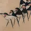 ラウラのプロフィール画像