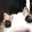 ちいのプロフィール画像