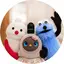 ともるーなのプロフィール画像
