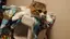 miaのプロフィール画像