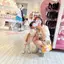 mii🧅🥣のプロフィール画像