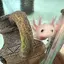 名無しのプロフィール画像