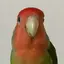 ぽぽんのプロフィール画像