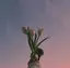 maiのプロフィール画像