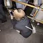 梨花のプロフィール画像