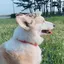 しゅりのプロフィール画像