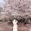 にゅうのやのプロフィール画像