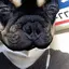 かんのプロフィール画像