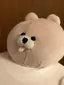 越智のプロフィール画像