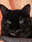 こつぶっこのプロフィール画像
