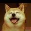 カズのプロフィール画像