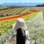 ruのプロフィール画像