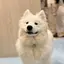 みやこのプロフィール画像