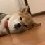R子のプロフィール画像