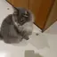 咲良のプロフィール画像
