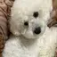 おおののプロフィール画像
