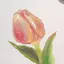 미날のプロフィール画像
