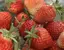 さのプロフィール画像