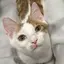 み や つ このプロフィール画像