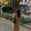30のプロフィール画像