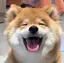 みーのプロフィール画像
