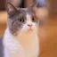 ponのプロフィール画像