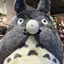 ここのプロフィール画像