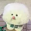 sのプロフィール画像