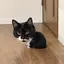 kikoのプロフィール画像