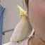 ゆりりんのプロフィール画像