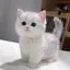 萌乃香のプロフィール画像